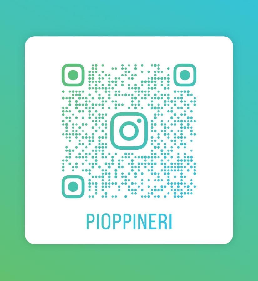 Pioppi Neri R&B Panzió Felino Kültér fotó